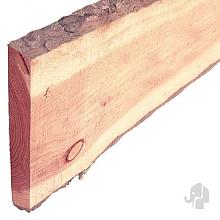 Elephant schorsplank (schaaldeel) Douglas FSC +/- 19x175/200mm gezaagd